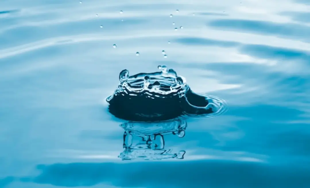 UK Regulations for Mains Chlorination Certificates UK Regulations for Mains Chlorination Certificates Image